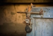 IIP Online Student Photography